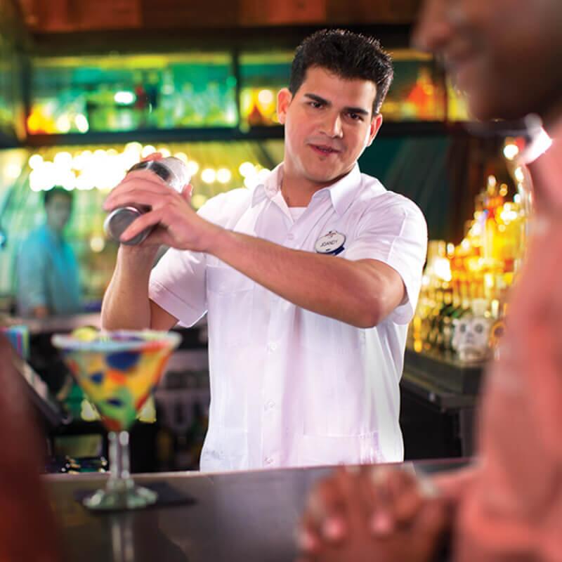 Bartender shaking up a cocktail