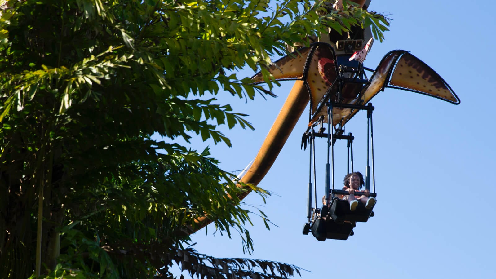 Jurassic Park Pteranodon Flyers ride