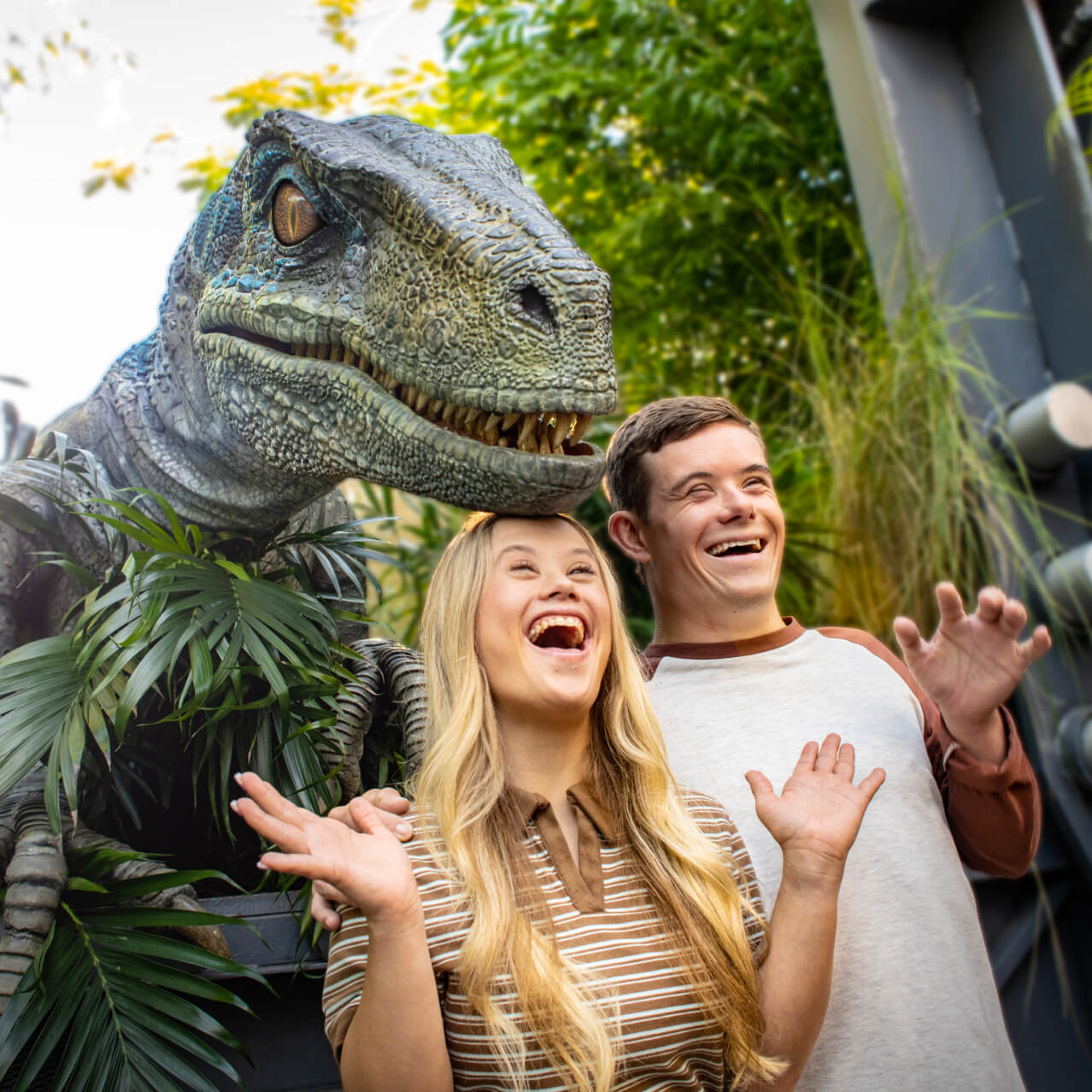 A pair of Guests laughing as they pose for a picture with Blue the velociraptor overhead emerging from the bushes.
