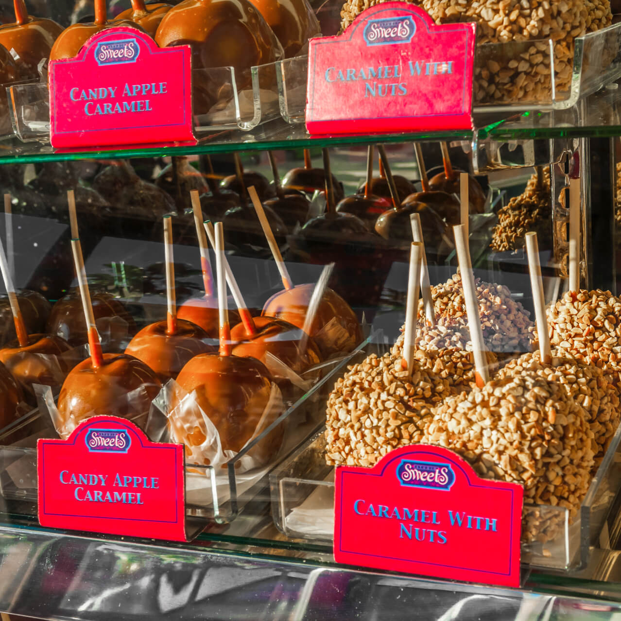 Fresh caramel apples on display at Studio Sweets, a tasty shop in Universal Studios Florida.