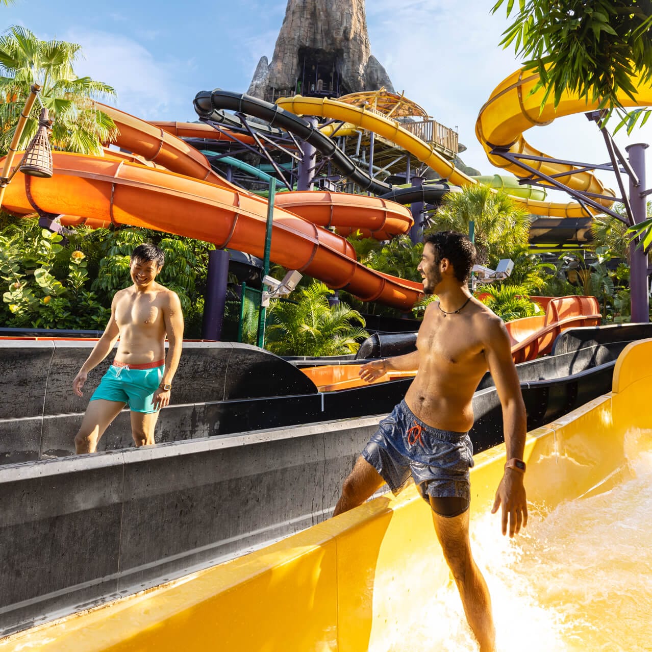guest sliding down the Punga Racers