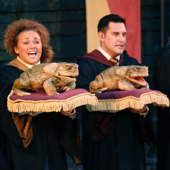 Frog Choir singers mid song as their musical frogs look on during a live show at The Wizarding World of Harry Potter Hogsmeade at Universal's Islands of Adventure in Orlando.