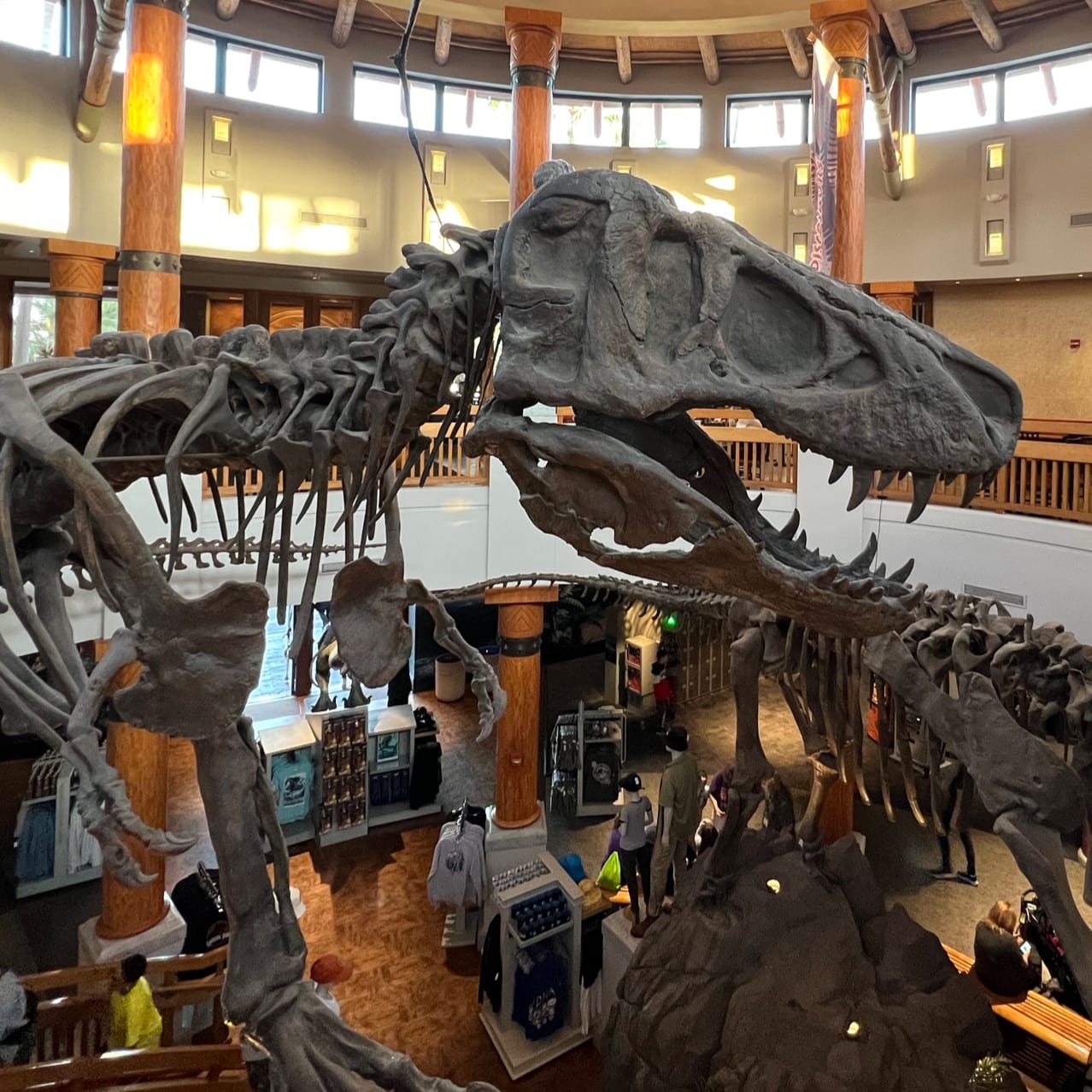 Inside Jurassic Park Discover Center