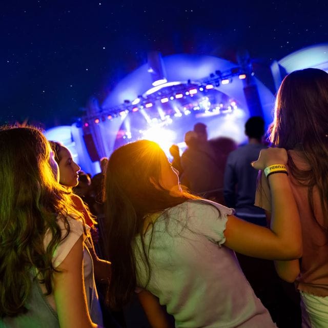 Three friends facing the stage as they watch a performance during Universal Mardi Gras.