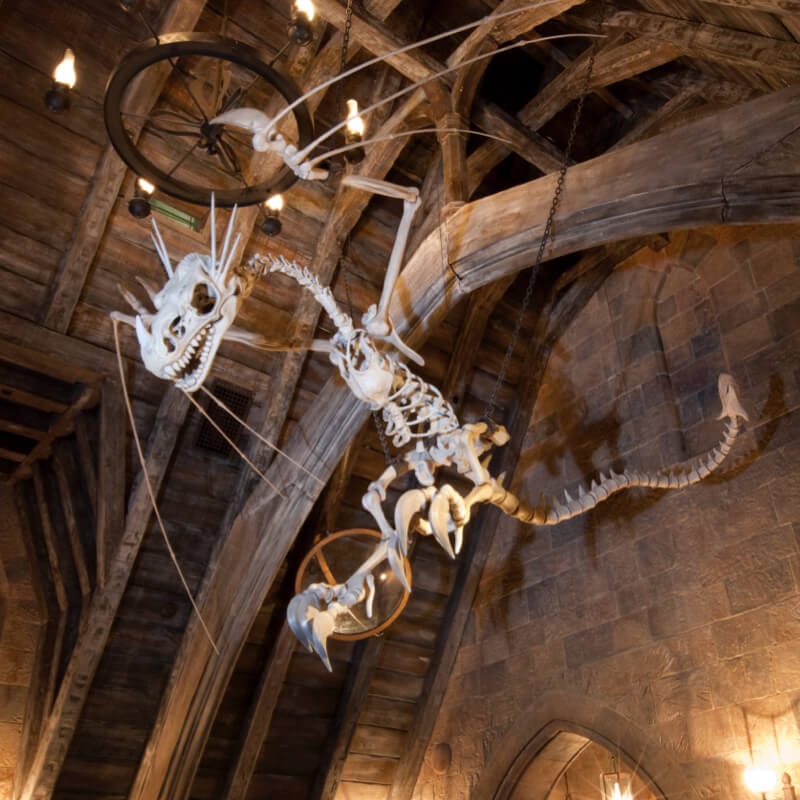 Imagen 2 de Datos Rápidos de Harry Potter and the Forbidden Journey: huesos de dragones.