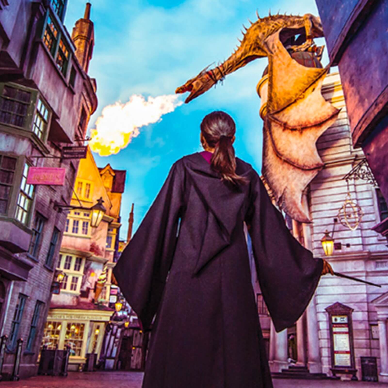 The Wizarding World of Harry Potter™ - Diagon Alley™