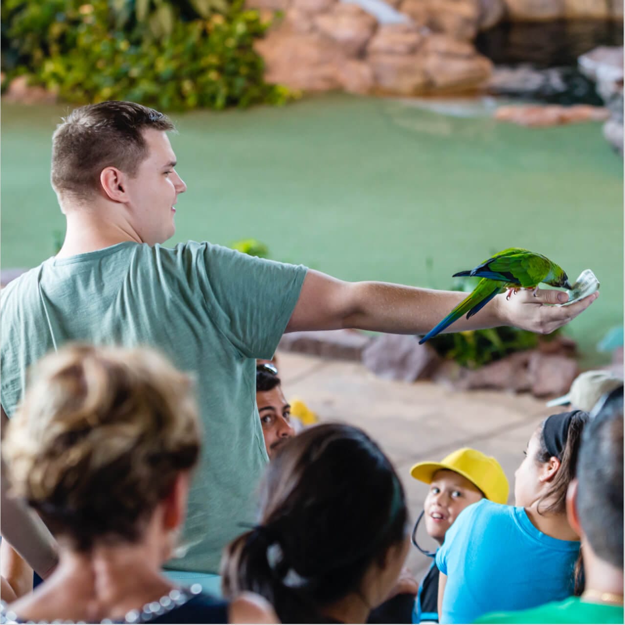 Un pájaro se posa sobre la mano de un miembro de la audiencia durante el espectáculo Animal Actors On Location en Universal Studios Orlando.