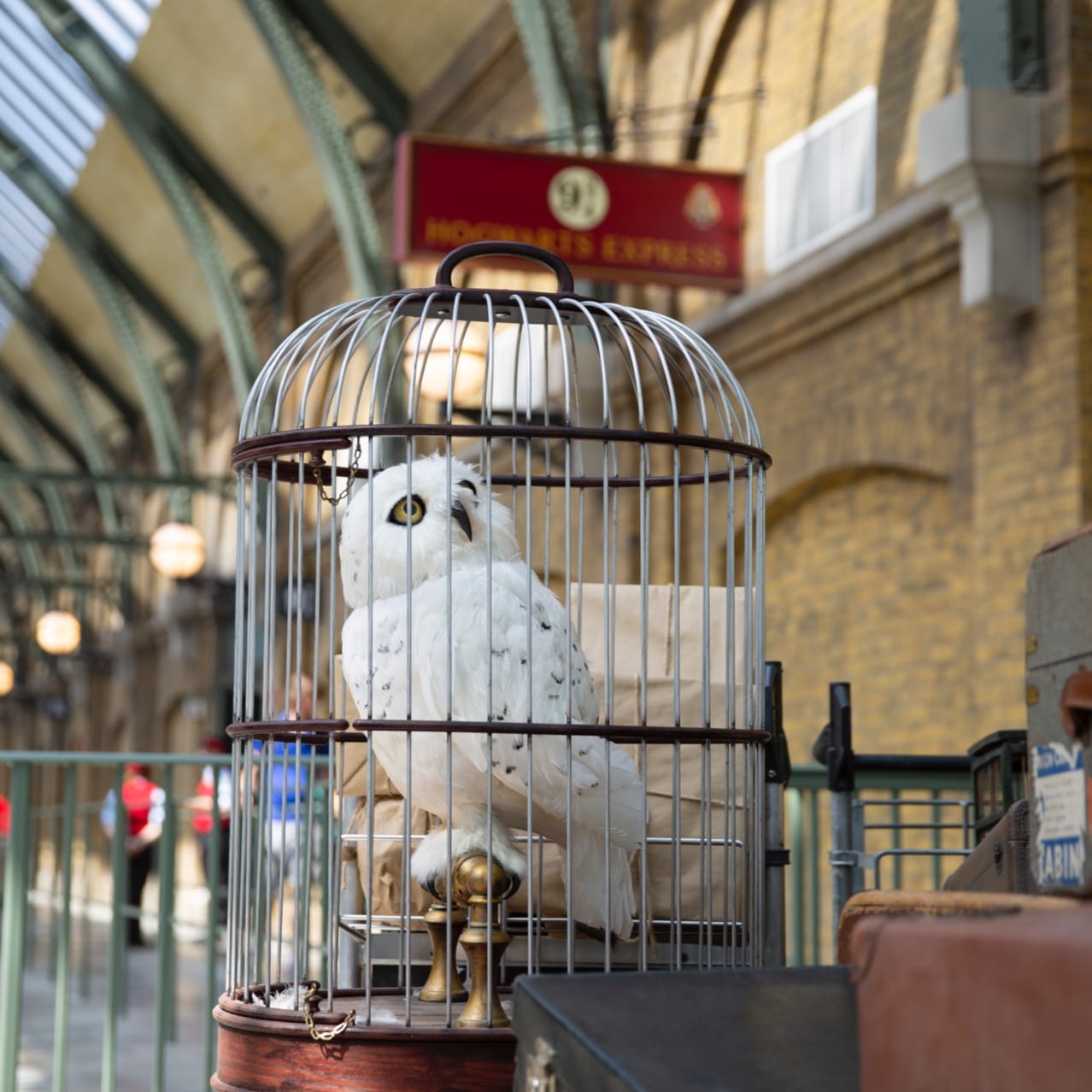 Hedwig en su jaula en King's Cross Station