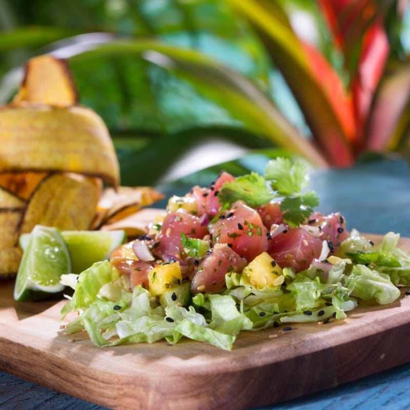 Poke de Feasting Frog en Rainforest Village en Volcano Bay.