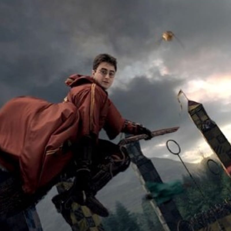 Harry Potter and the Forbidden Journey
