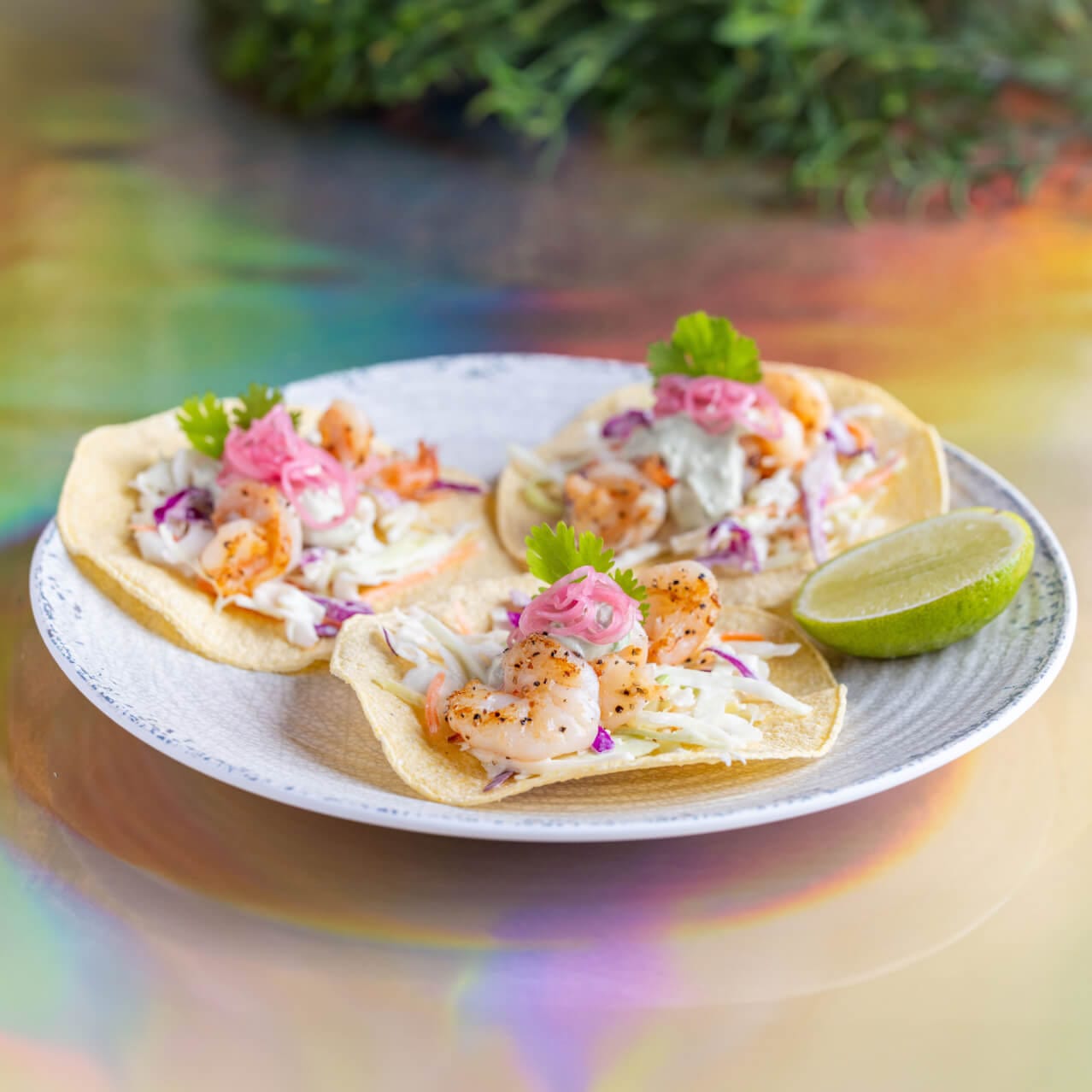 Tacos de camarão no Moonrise Grill dentro do Universal Terra Luna Resort.