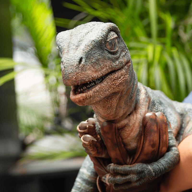 Raptor Encounter | Universal's Islands of Adventure™