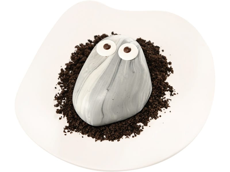 Otto's Pet Rock