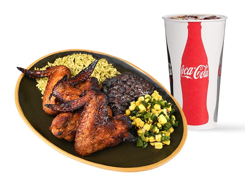 Prehistoric Raptor Wings Combo