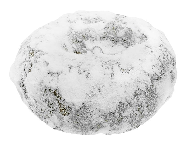 Powdered Sugar Cake