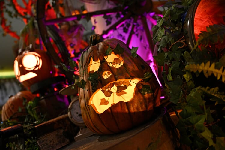 A rotting, vine-encircled jack-o’-lantern glowing among other Halloween decorations in the Swizzle Lounge at Cabana Bay Beach Resort.