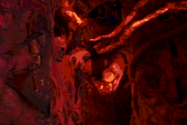 GIF of Guests being frightened by various costumed scareactors along with the Universal Orlando Resort entry arch lit up at night.