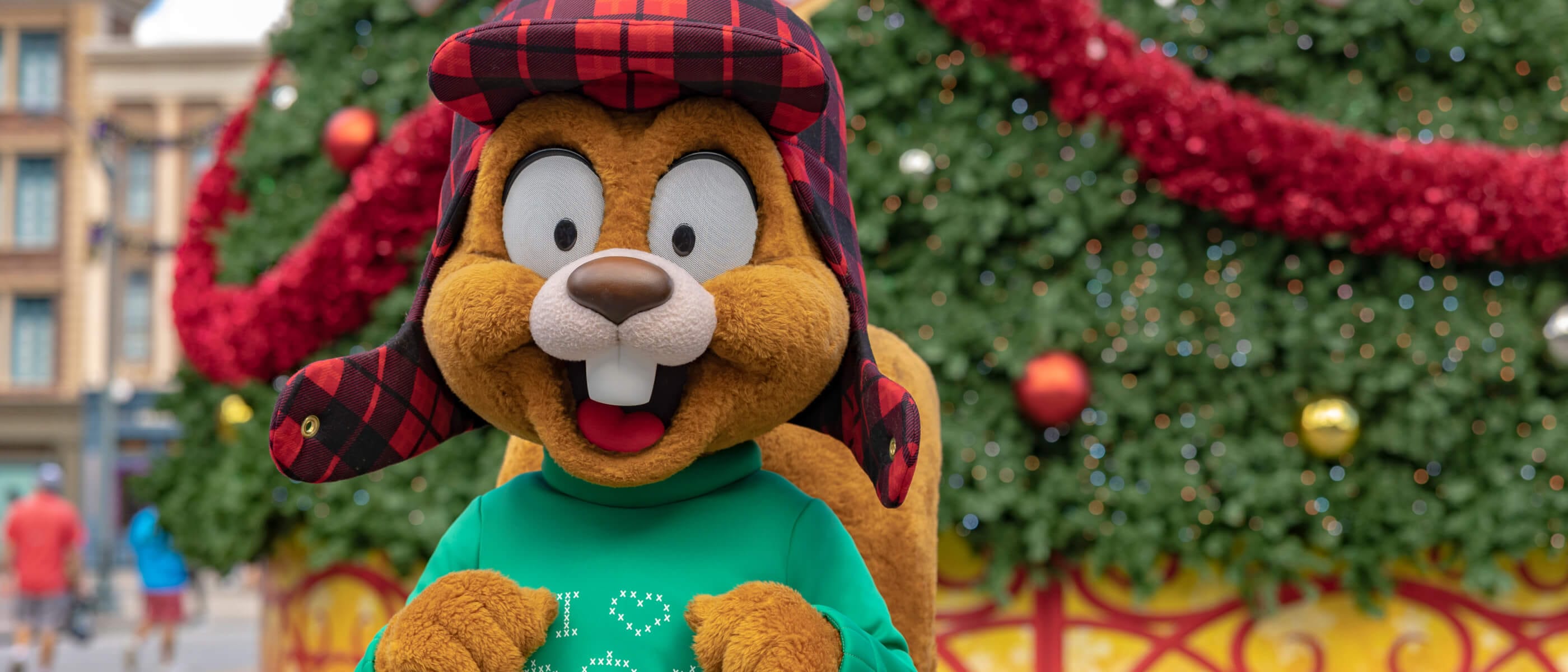 Earl the squirrel in front of a Christmas tree with a green sweater and red flannel hat.