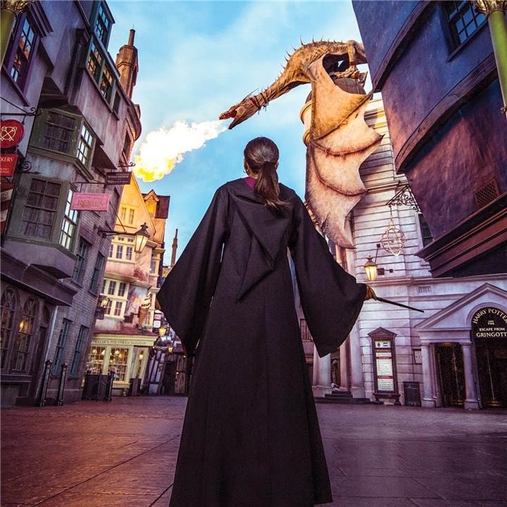 The Wizarding World of Harry PotterTM in Florida Center - Tours and  Activities