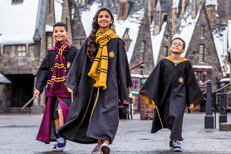 the wizarding world of harry potter